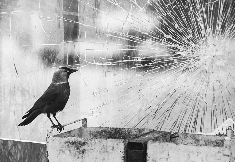 Photograph by Ольга Алексейчик