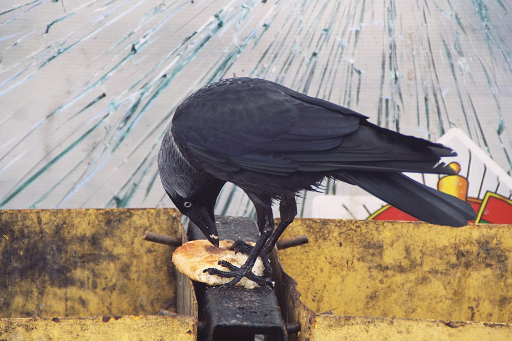 Photograph by Ольга Алексейчик