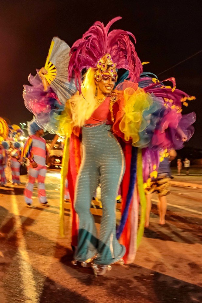 O folião de Carnaval