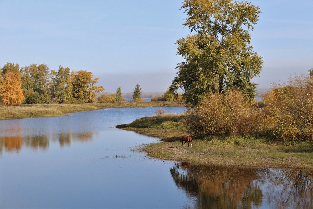 осеннее утро