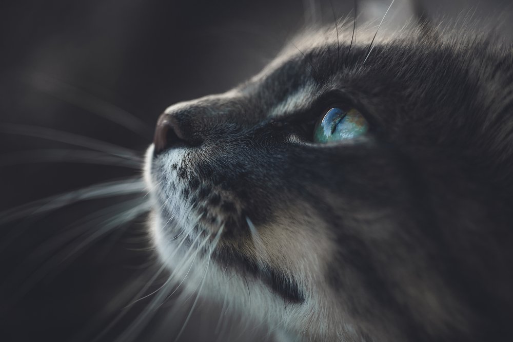 Photograph by Александр Плисик