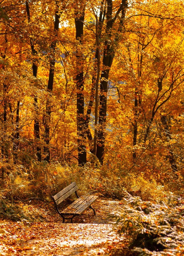 Photograph by Наталья Шалкевич