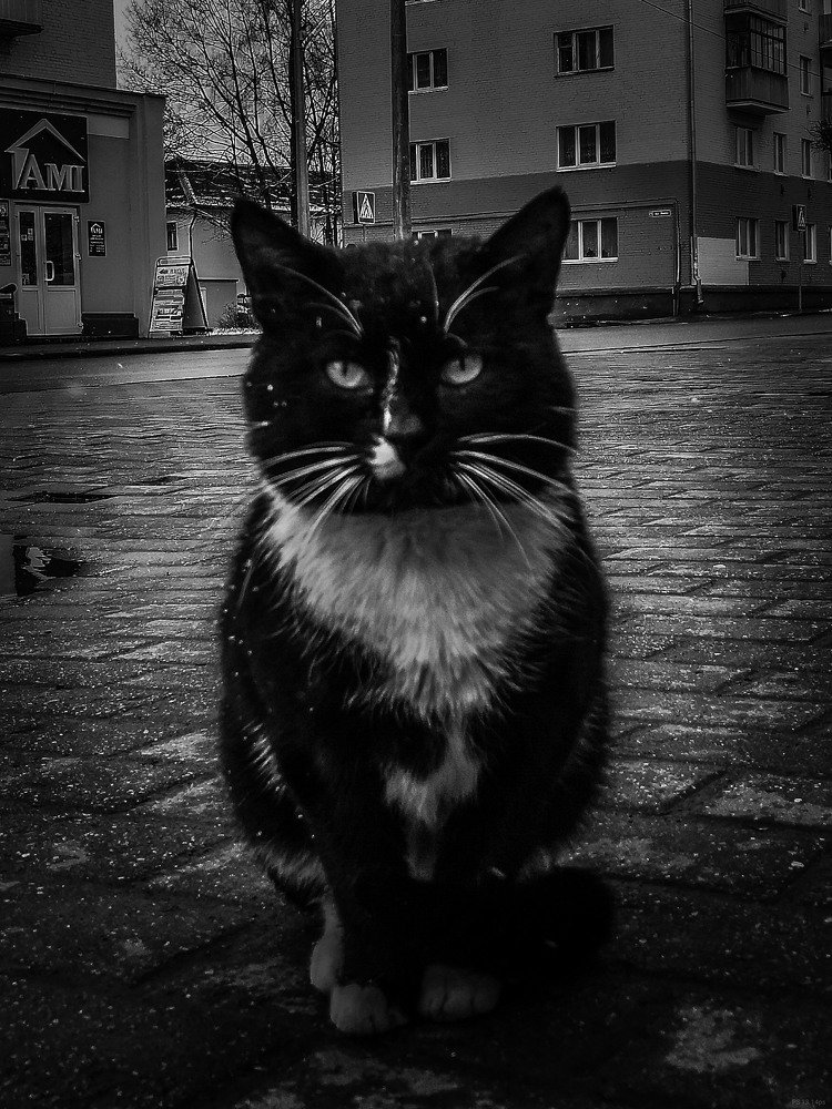 Photograph by Дмитрий Пипкин