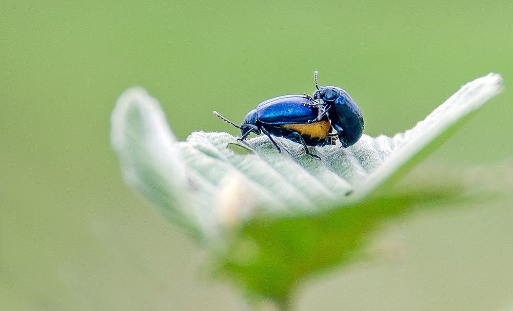 Size is not important