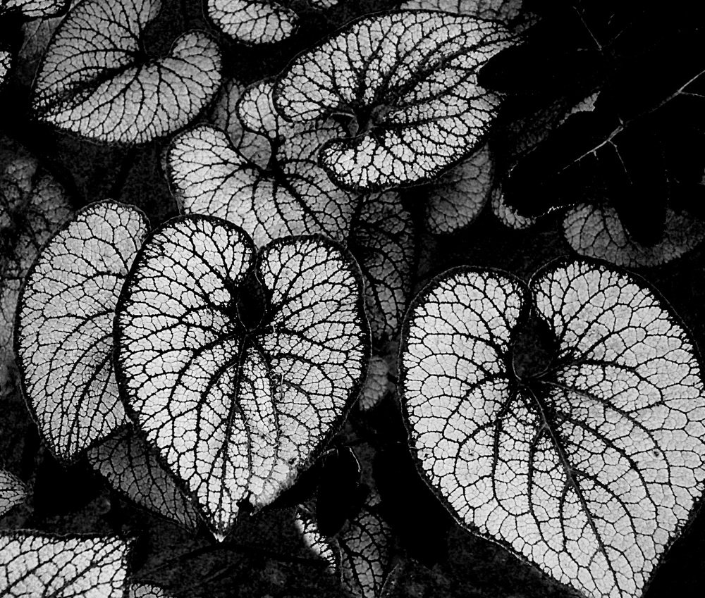 Photograph by Александра Климина