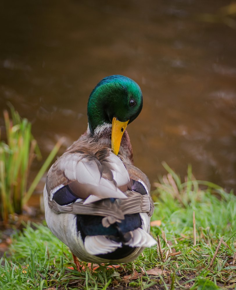 Photograph by Даркина Дарья
