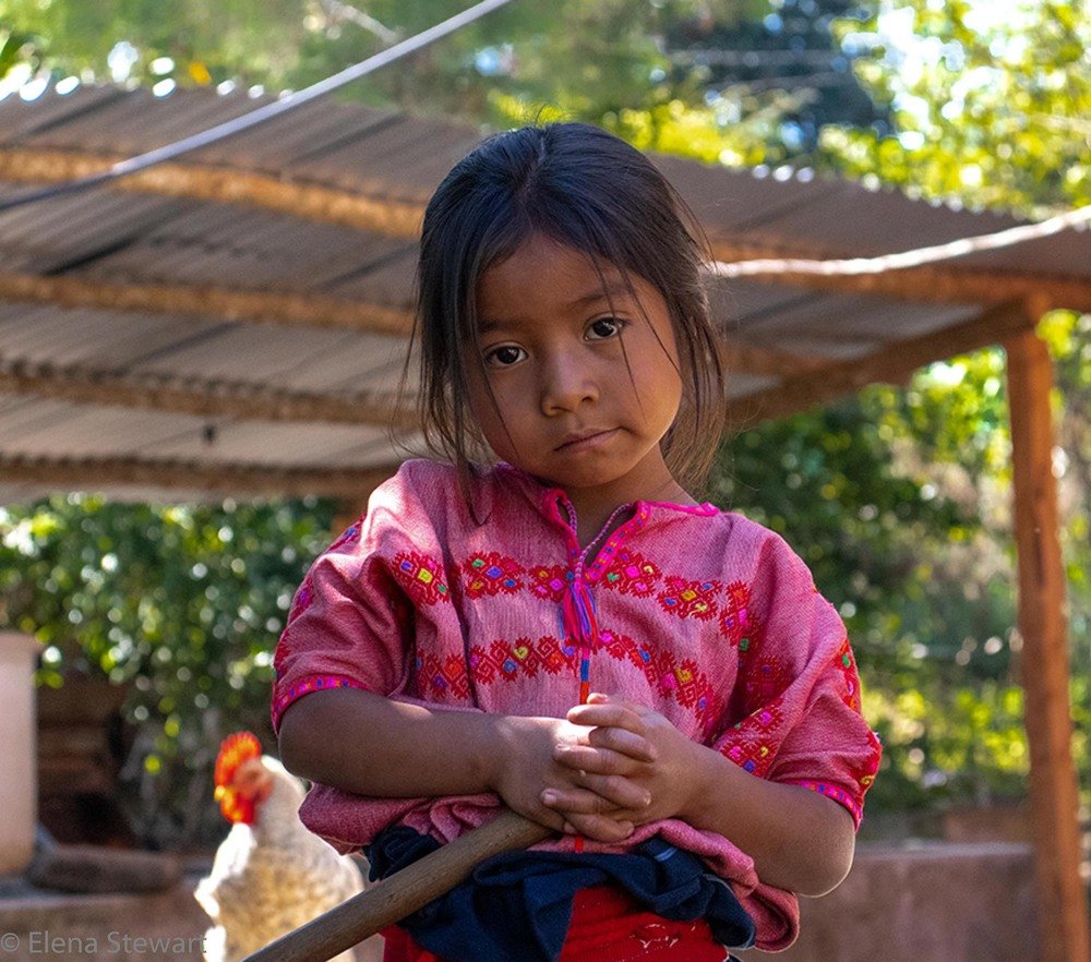 Фотография автора Elena Stewart