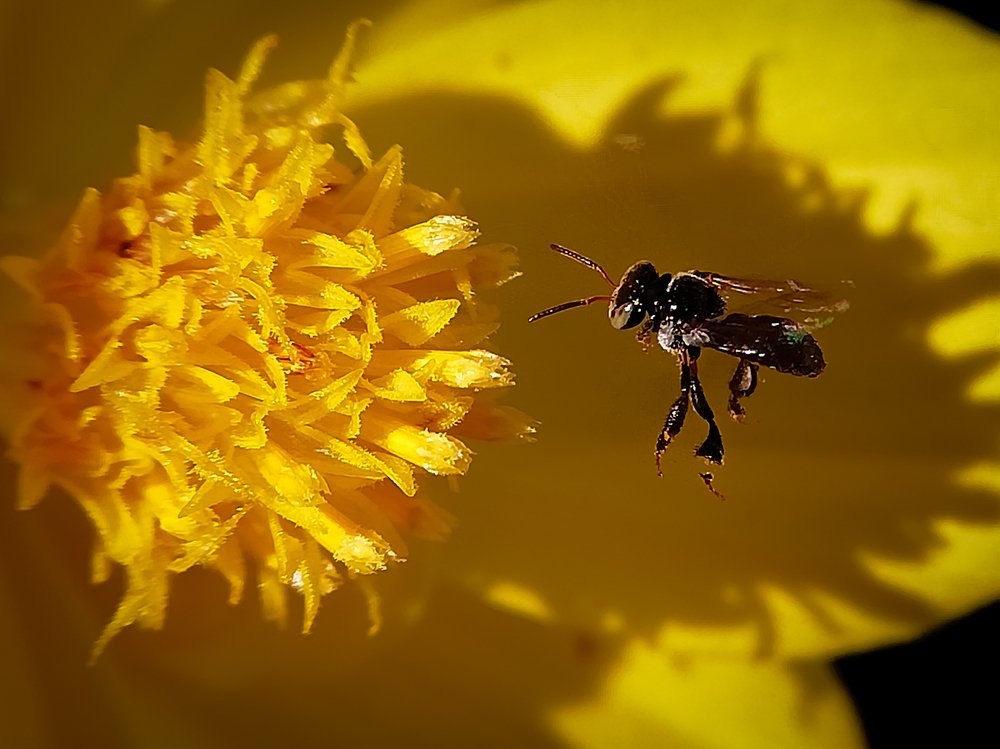 Photograph by Taufik Yusup Sukmana