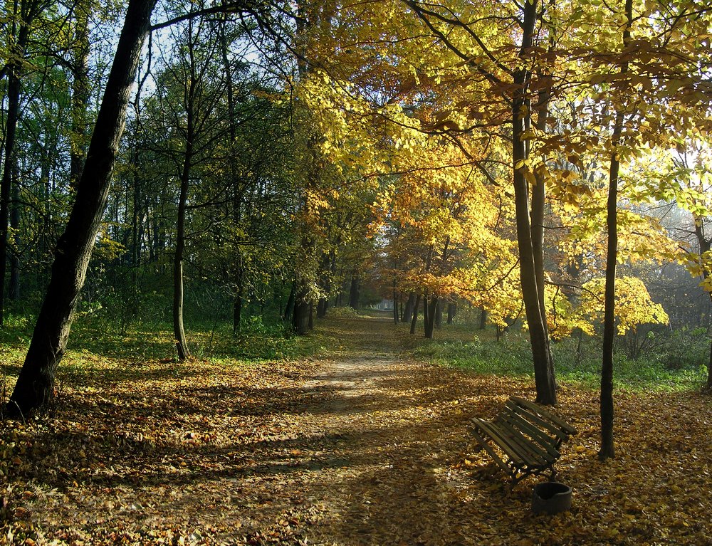 Photograph by Сергей Рулевский