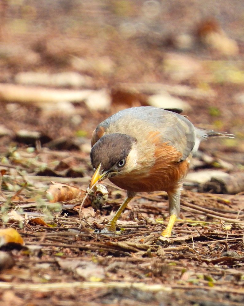 Photograph by Harshal Parate