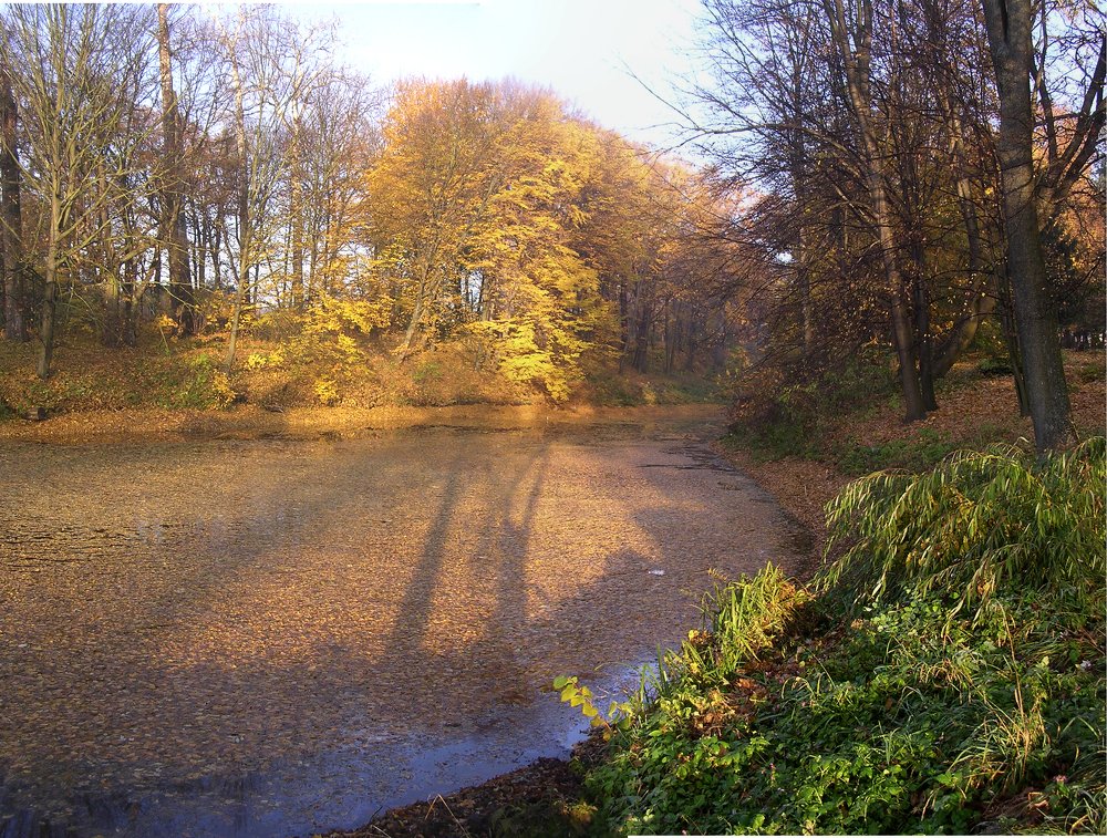 Photograph by Сергей Рулевский