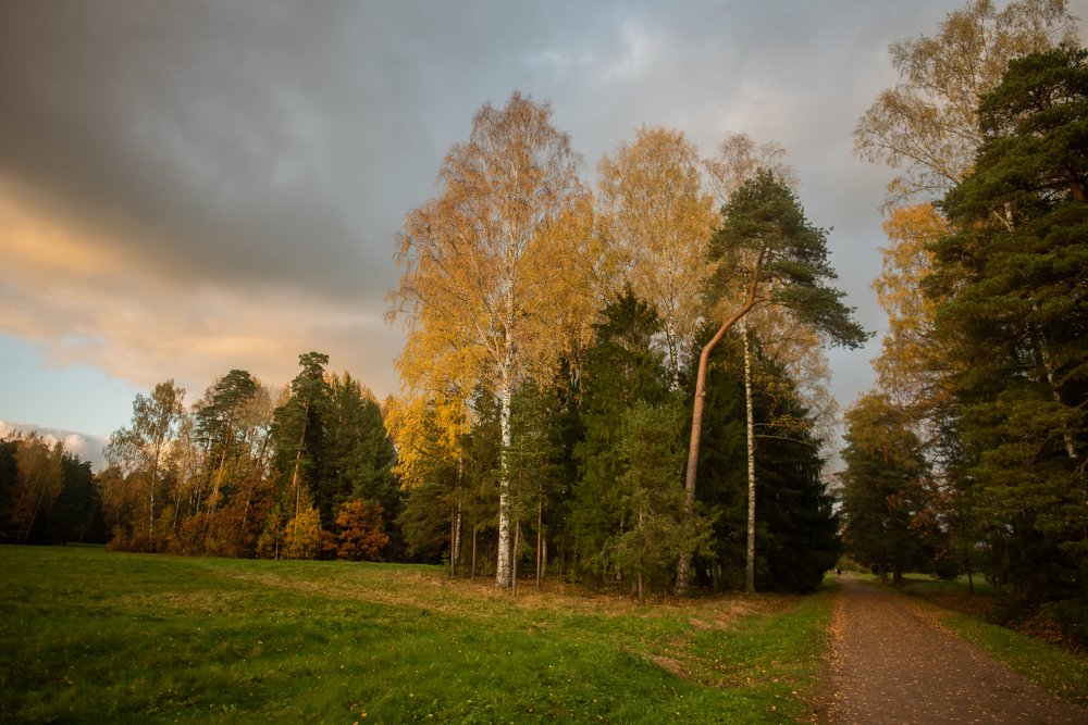 Photograph by Даркина Дарья