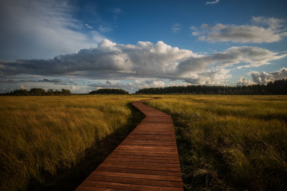 Photograph by Даркина Дарья