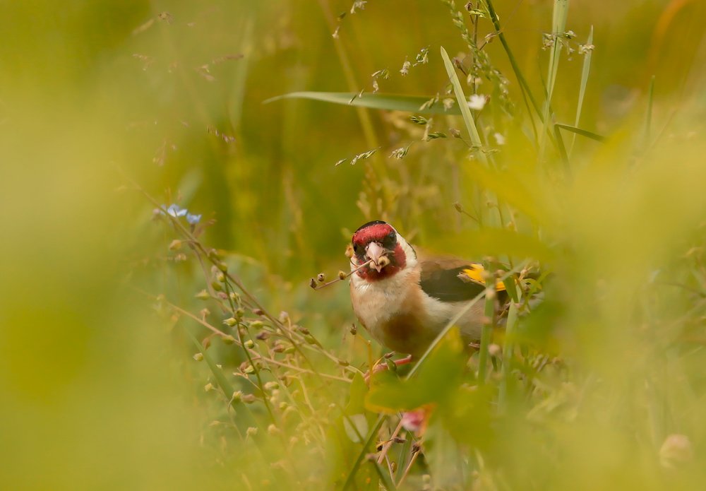 Photograph by Татьяна Александрова