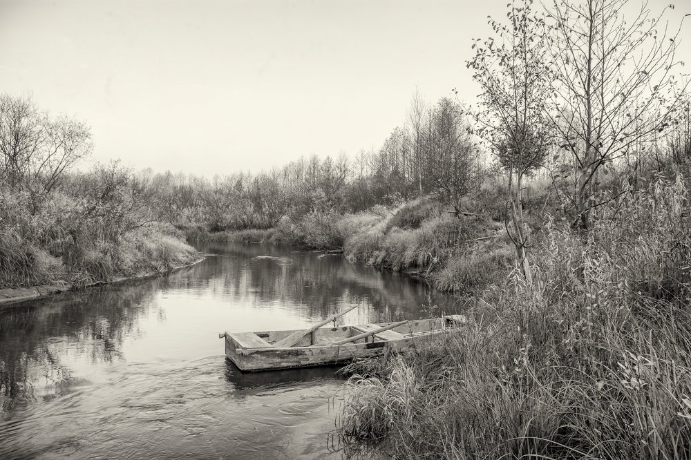 Photograph by Kuzmichev Alexey