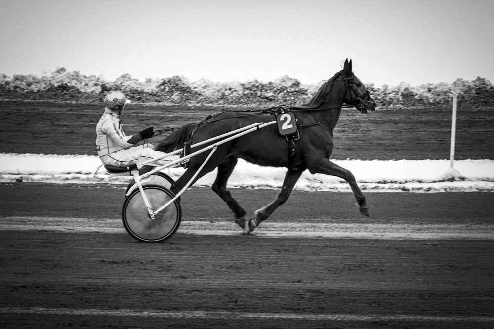 Photograph by Olga Bakke