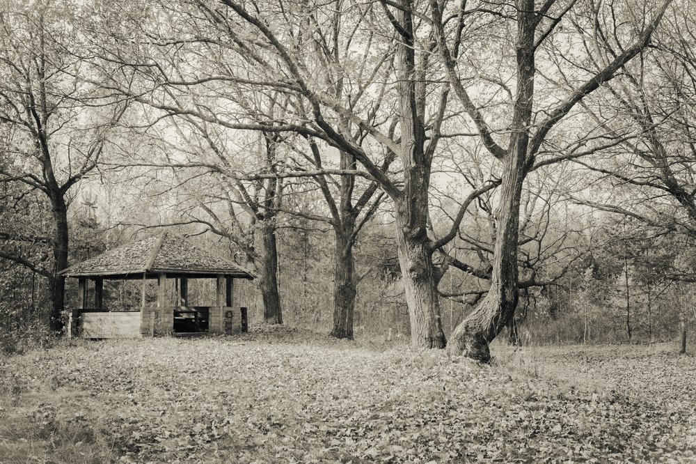 Photograph by Kuzmichev Alexey