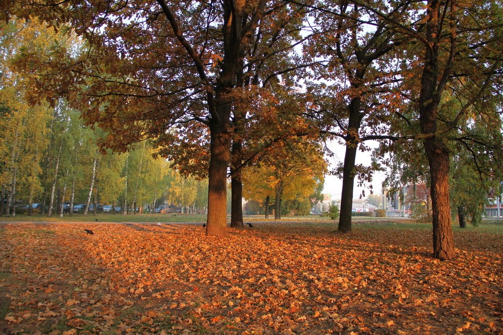 Photograph by Алексей