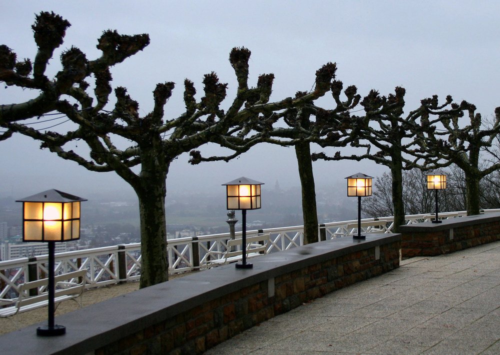 Photograph by Яков