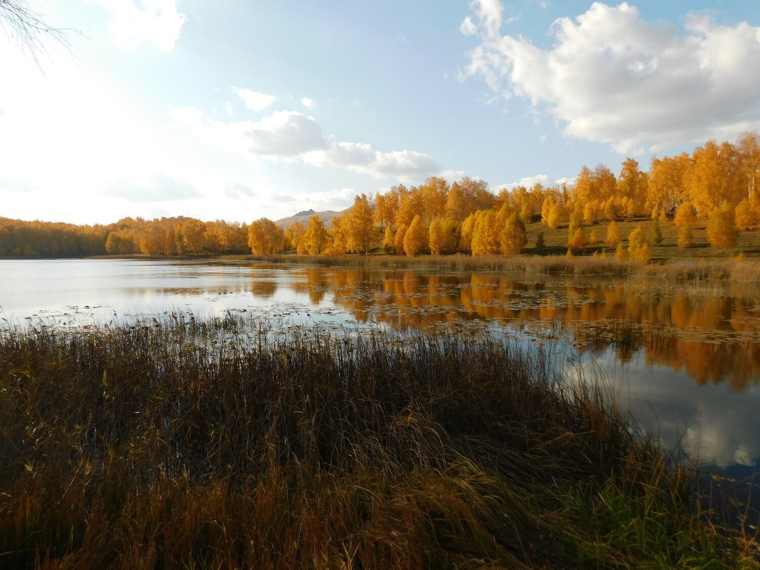 Photo #5087953