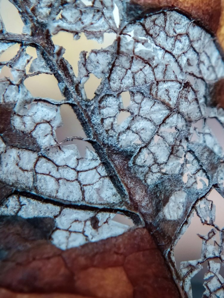 Photograph by Татьяна Кравченко