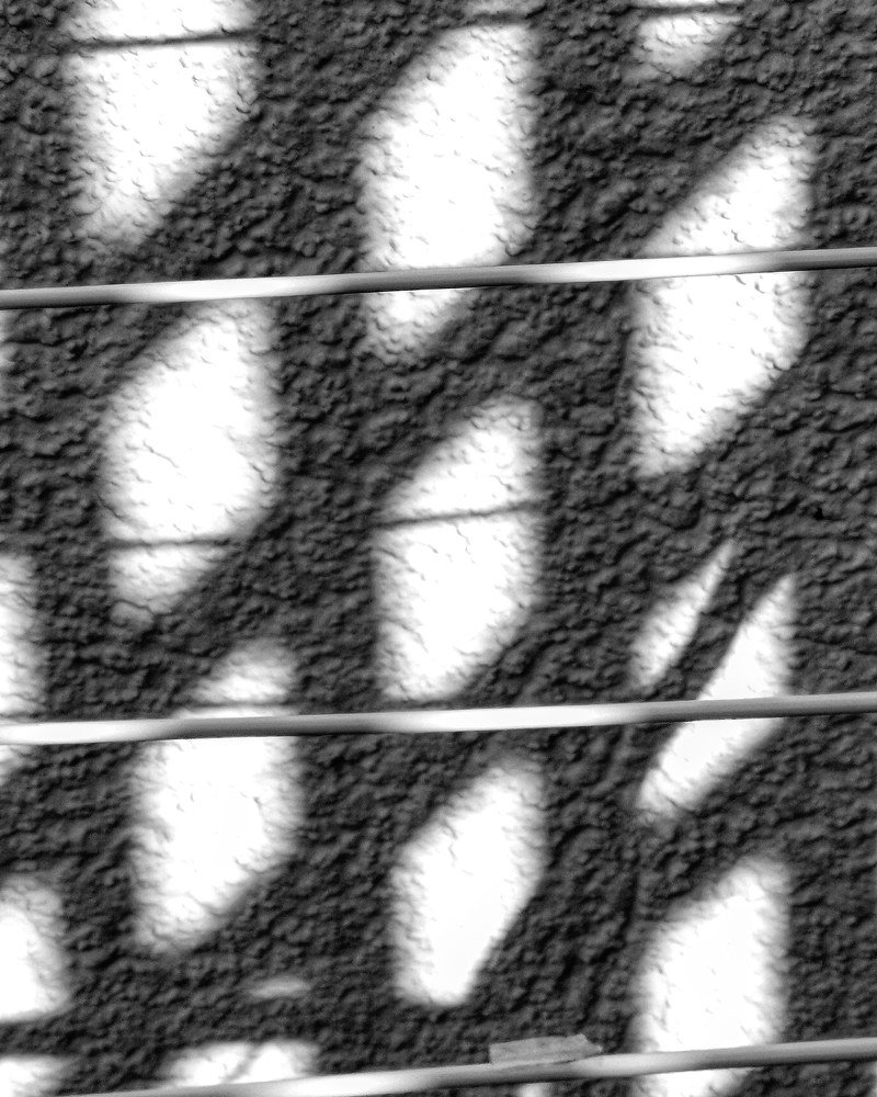 Фотография автора Павел Барский