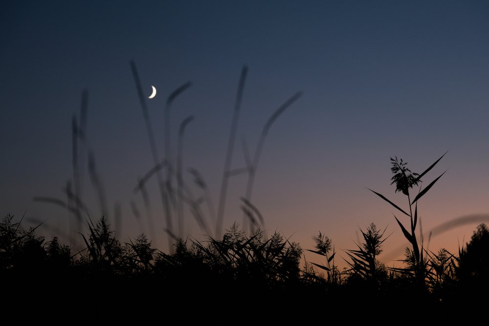 Photograph by Виктор Бунин