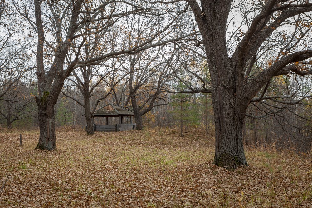 Photograph by Kuzmichev Alexey