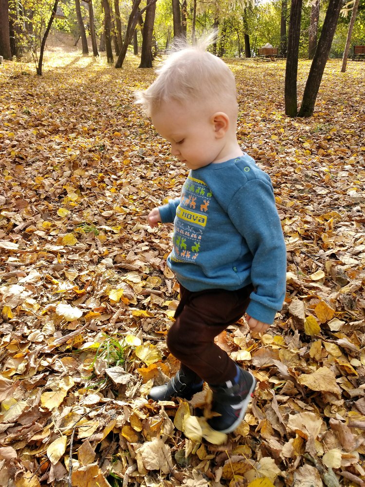 Photograph by Николай Диордиев