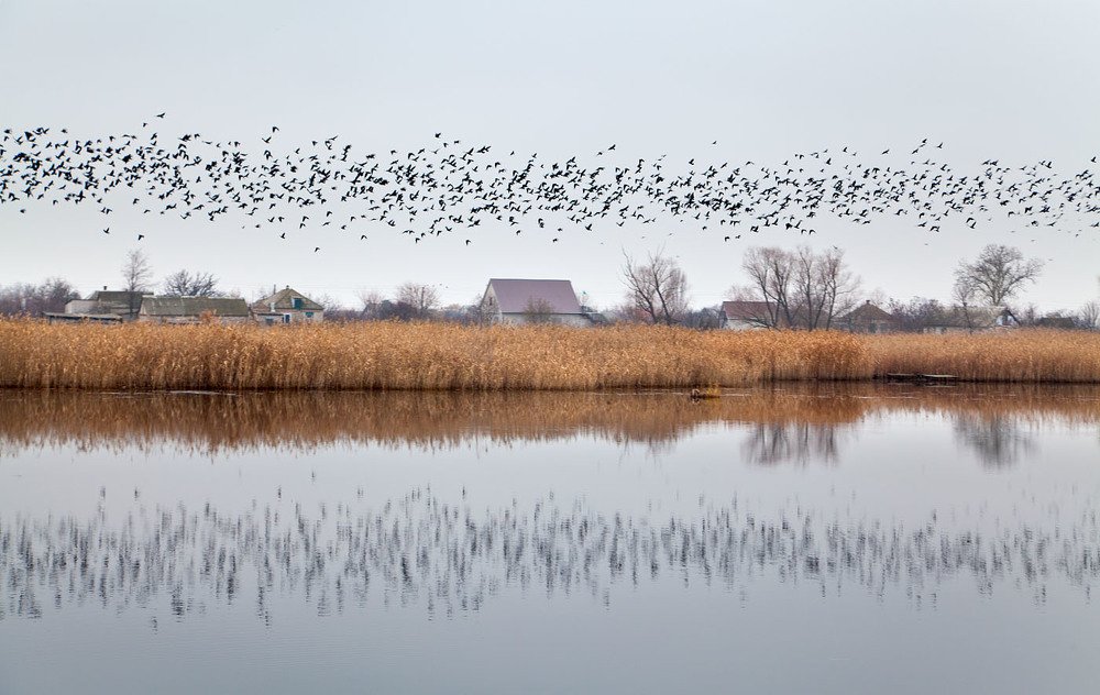 Photograph by Юлия Рублевская