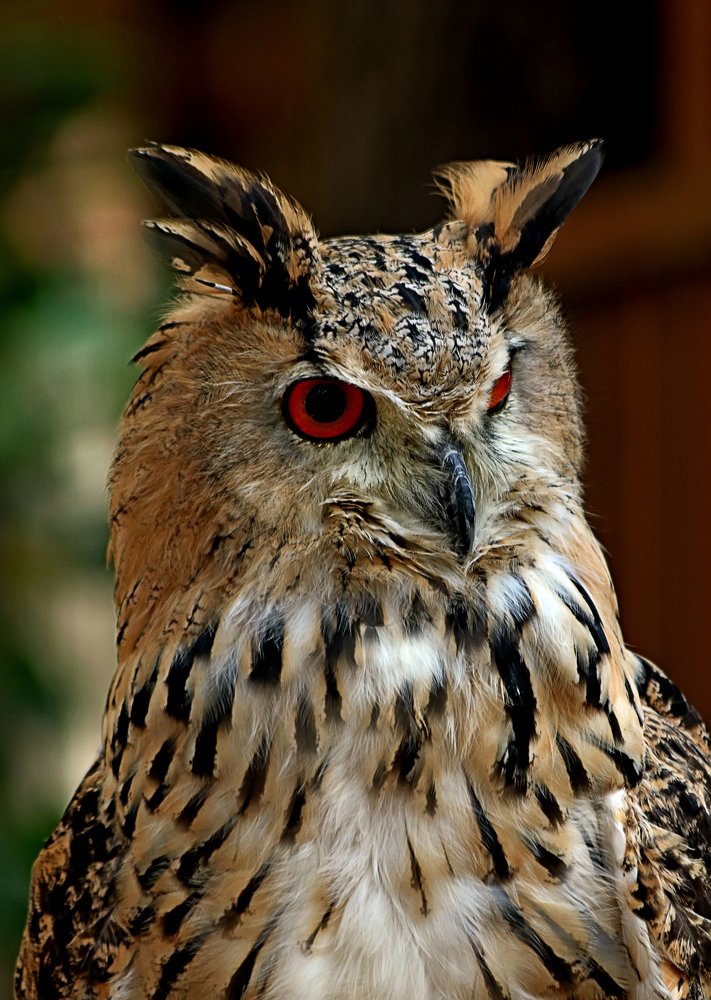 Photograph by Николай Диордиев