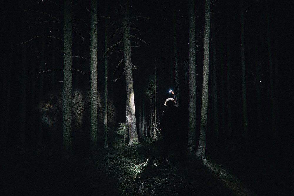 Встреча в лесу