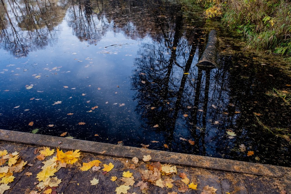 Photograph by Виктор Бунин