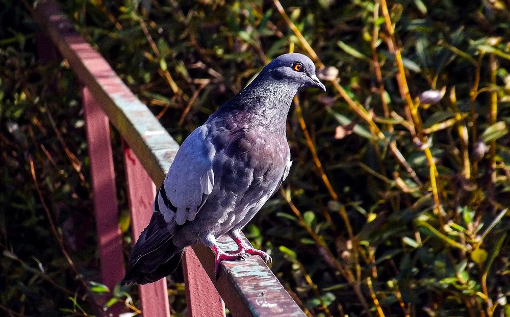 Photograph by Светлана Перминова