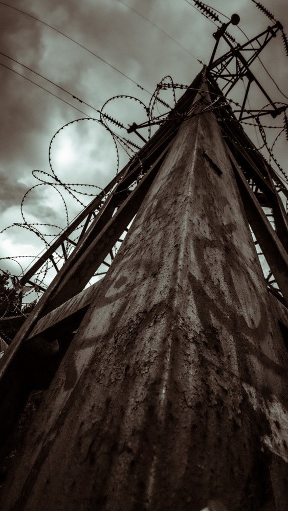 Photograph by Юлия Долгина