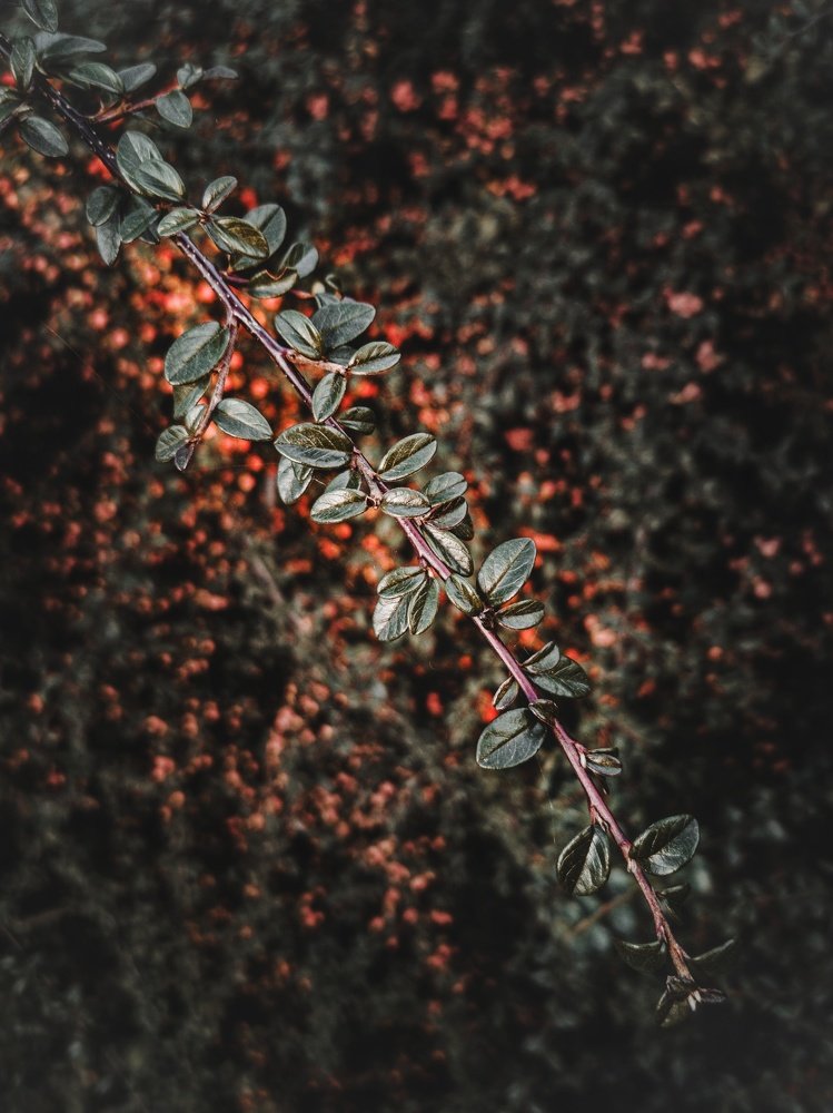 Photograph by Владимир Алейников