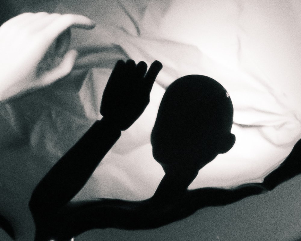 Ты моя извращённая, чёрная, лживая тень