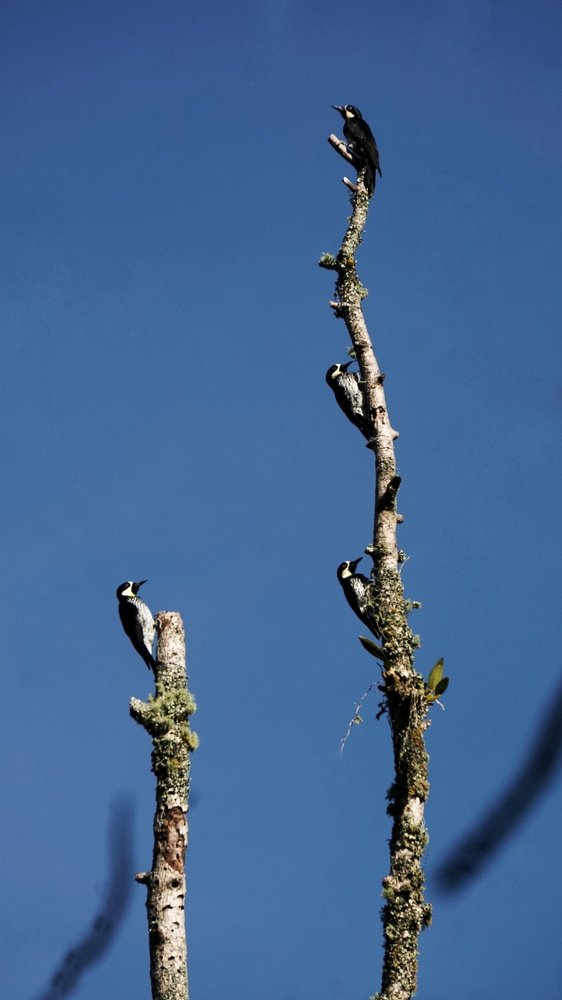 Photograph by Mónica Castaño