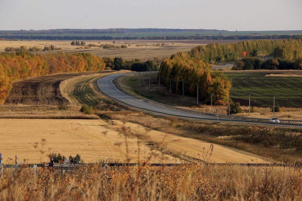 Photograph by Александр Пузиков