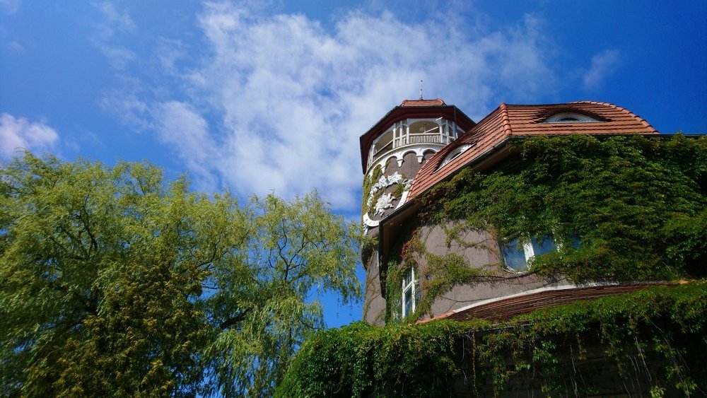 Светлогорск. Водонапорная башня.