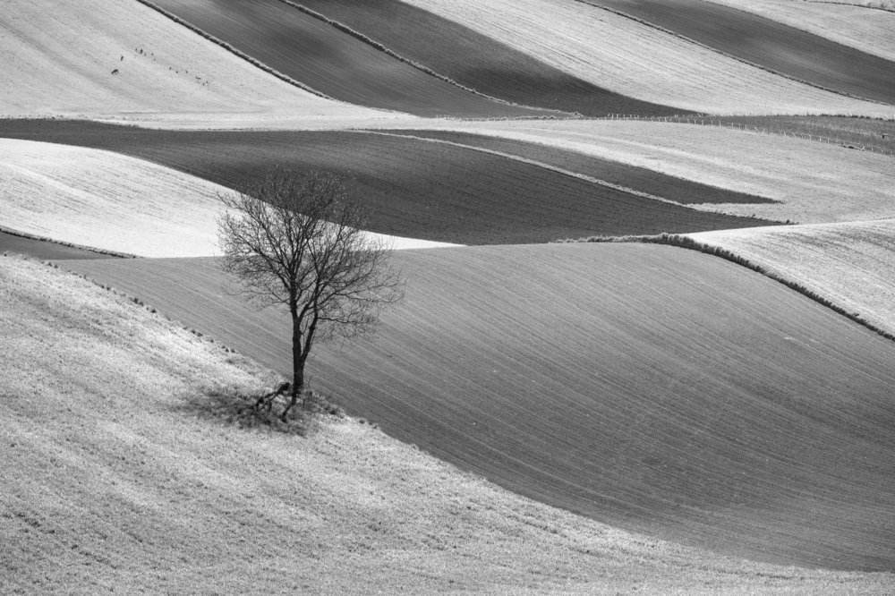 Photograph by Wiktor Baron