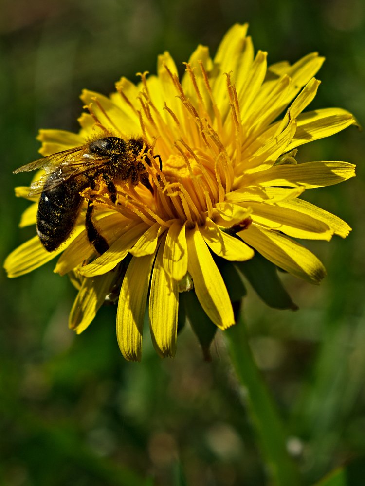 Photograph by Евгений Козлов