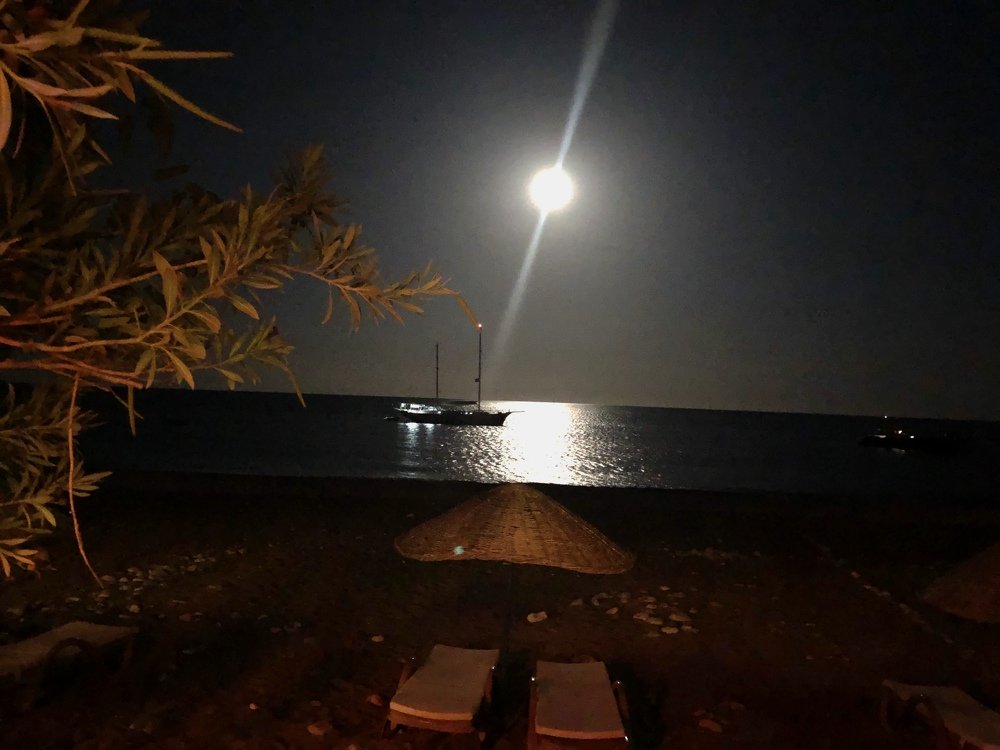 Photograph by Светлана Пронякина