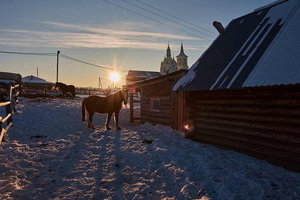Photograph by Елена Ельцова