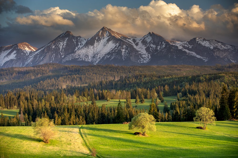 Photograph by Wiktor Baron