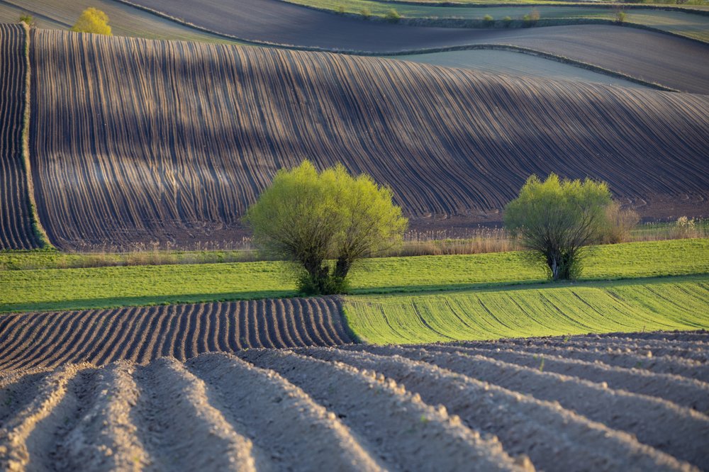 Photograph by Wiktor Baron