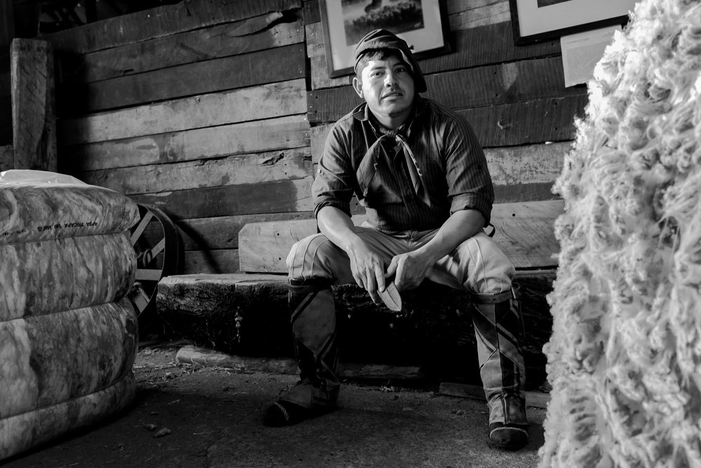 Photograph by Alejandro Capelli