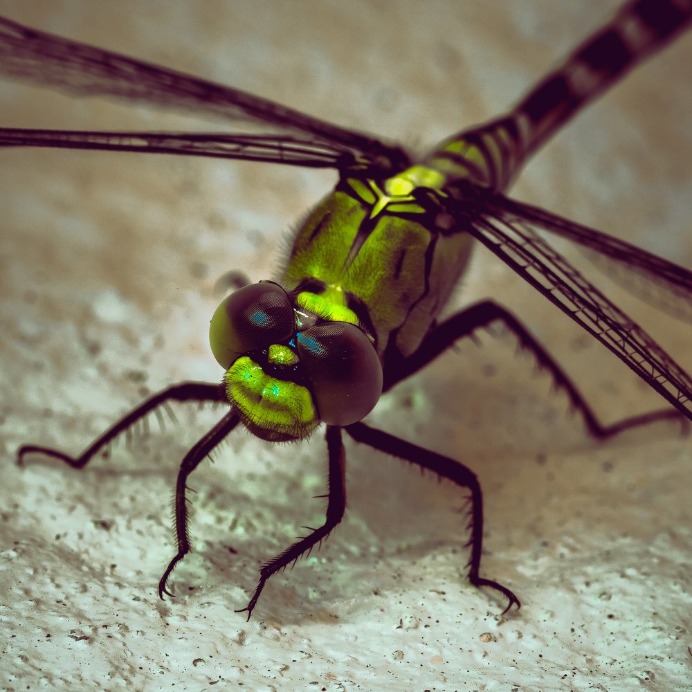 Photograph by Aditya Kumar Sahoo