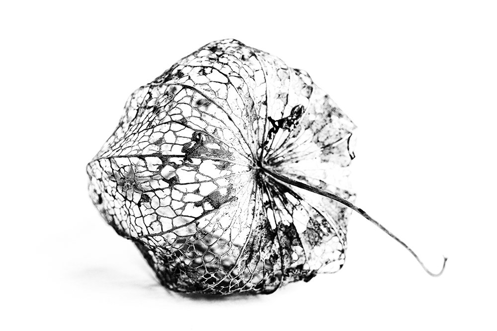 Photograph by Normunds Kaprano