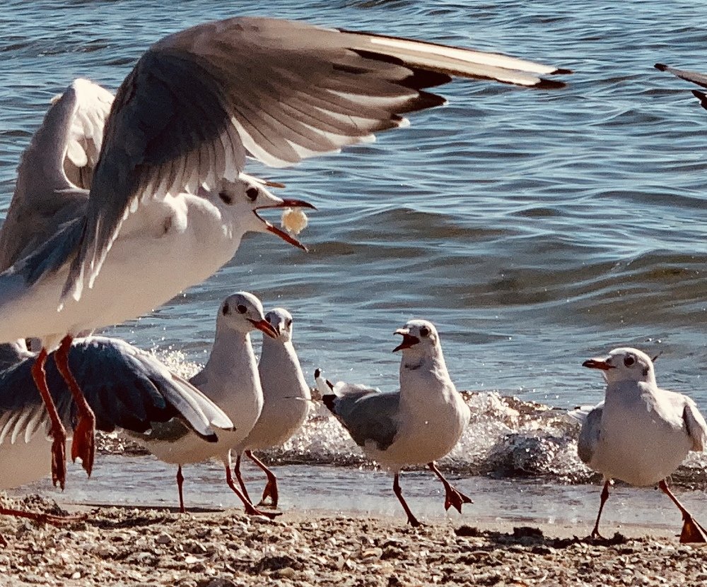 Photograph by Анна Адаменко